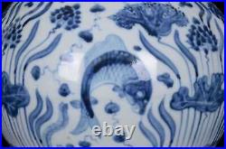 Chinese Blue&White Porcelain Handmade Exquisite Fish&Algae Pattern Vase ae1208