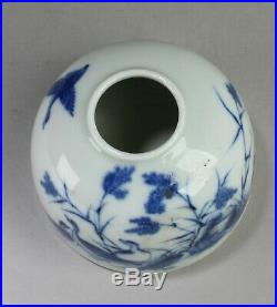 Chinese Blue & White Porcelain Ink Wash