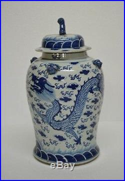Chinese Blue White Porcelain Jar Double Dragon OC30-04