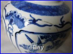 Chinese Blue & White Porcelain Jar Kangxi Marks AF 23cm A648517