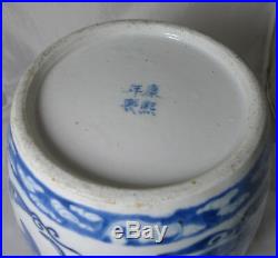 Chinese Blue & White Porcelain Jar Kangxi Marks AF 23cm A648517