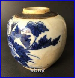 Chinese Blue & White Porcelain Jar Qing Dynasty(1636 -1912)