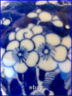 Chinese Blue & White Porcelain Prunus Hawthorn Ginger Jar KANGXI Mark, H 5 1/2