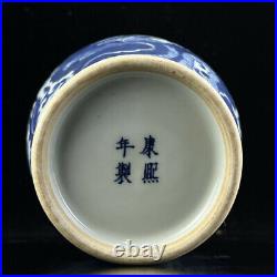Chinese Blue and white Porcelain Handmade Exquisite Dragon and Phoeni Vase 23436