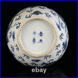 Chinese Blue&white Porcelain HandPainted Exquisite Dragon&Phoenix Vase 19646