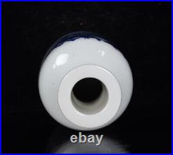 Chinese Blue&white Porcelain HandPainted Exquisite Landscape Vase 20619