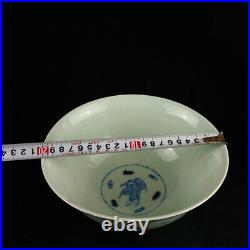 Chinese Blue&white Porcelain Hand-Paintd Exquisite Dragon&Phoenix Bowl 14793