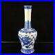 Chinese Blue&white Porcelain Hand-Painted Exquisite Dragon Pattern Vases 17708