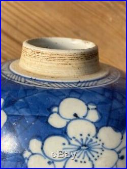 Chinese Kangxi Period Ice plum blue and white Porcelain Jar 18th C