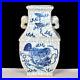 Chinese Open glaze Blue And White Porcelain Vase Lion Pattern