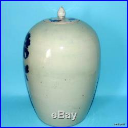 Chinese Porcelain Antique Celadon Blue White Fantasie Figures Jar Vase