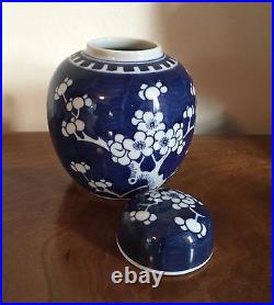 Chinese Porcelain Vase Jar & Cover Cracked Ice Prunus Hawthorne Blue & White
