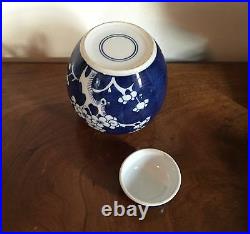 Chinese Porcelain Vase Jar & Cover Cracked Ice Prunus Hawthorne Blue & White