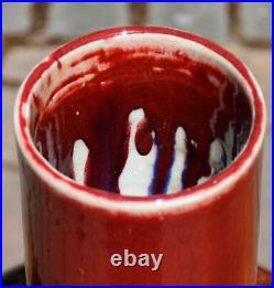 Chinese Porcelain Vase Monochrome Red Glazed Ox Blood Vase Sang du Boeuf