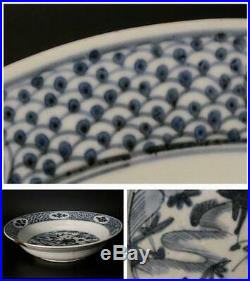 Chinese Zhangzhou ware Antique Blue & White porcelain plate kosometsuke CCVP37