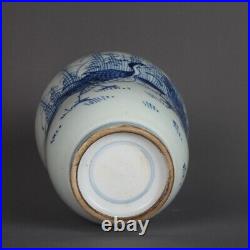 Old Chinese Blue & white porcelain painted Reed goose vase 8126