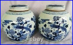 Pair 9.25 Blue & White Ginger Jars Chinese Pheasant Bird Motif Porcelain