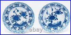 Pair Chinese Blue & White Saucers Bird Porcelain Marks Period Kangxi (1662-1722)