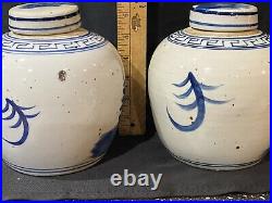 Pair Of Blue and White Bird and Floral Porcelain Ginger Jars Chinoiserie