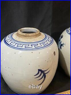 Pair Of Blue and White Bird and Floral Porcelain Ginger Jars Chinoiserie