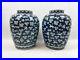 Pair of Large Blue-White Chinese Pots in Cranes GOOD CONDITION