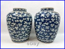 Pair of Large Blue-White Chinese Pots in Cranes GOOD CONDITION