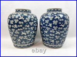 Pair of Large Blue-White Chinese Pots in Cranes GOOD CONDITION