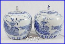 Vintage Chinese Porcelain 10 Ginger Jar Pair Blue White Bird Floral Kingfisher