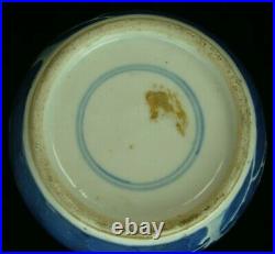 Vtg Antique Chinese Blue & White Porcelain Prunus Blossom Ginger Jar Kangxi Mark